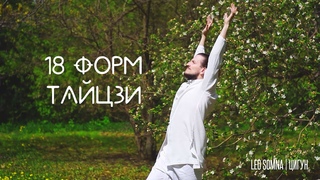 18 форм тайцзи | Цигун | Leo Somna | Tai Chi 18 forms | #цигун #qigong #taichi