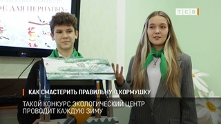 Как смастерить правильную кормушку