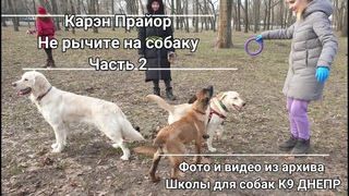 Карэн Прайор "Не рычите на собаку" часть 2