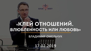 Клей отношений. Влюбленность или любовь / Владимир Омельчук /