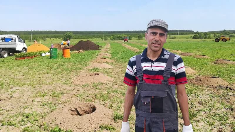 Закладка виноградника в Тульской