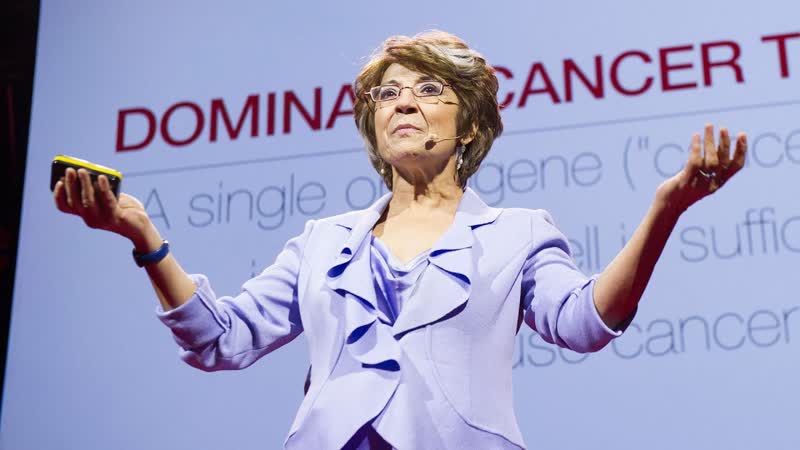 Experiments that point to a new understanding of cancer Mina
