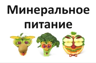 Минеральное питание РАСТЕНЙ