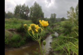 Окунево. Запретная зона.