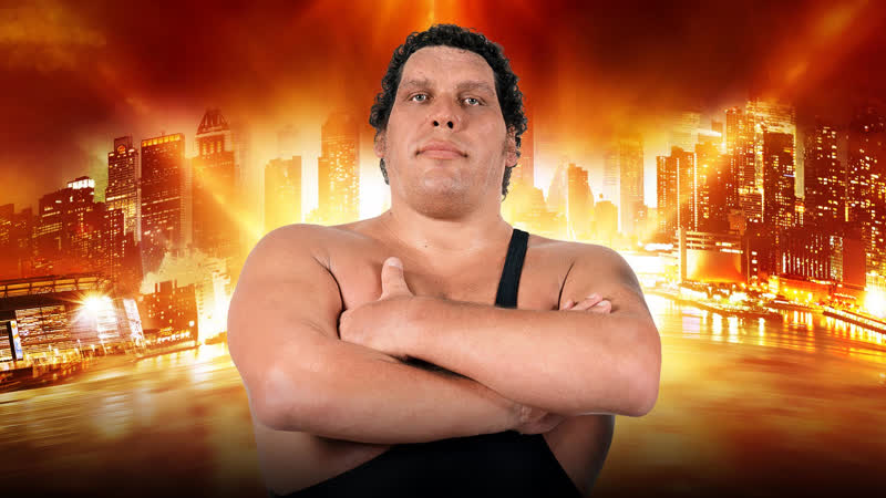30 Man Andre the Giant Memorial Battle Royal Wrestle Mania 35.