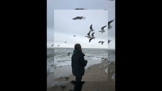 Гусейн Манапов - Чайки