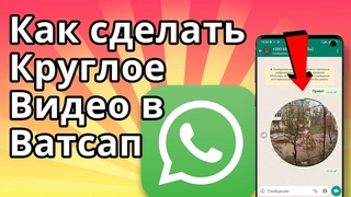 Круглое Видео в Ватсап, Как сделать и отправить Видеосообщение в WhatsApp