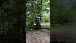 +230 KG WHEELIE