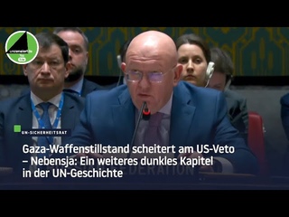 Gaza-Waffenstillstand scheitert am US-Veto – Nebensja