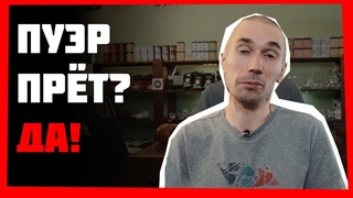 ТОП-5 САМЫХ ПОПУЛЯРНЫХ ВОПРОСОВ О ЧАЕ! ПУЭР ПРЁТ