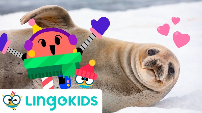ARCTIC ANIMALS SONG Polar animals songs for kids,