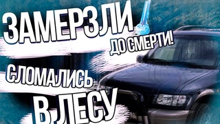 Помогите!!! Перекуп пи**р! Сломались в лесу!!! Очень холодно в Kia Sportage