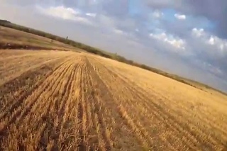 Охота на перепела открытие 2015