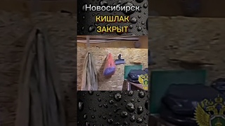 Смотри тут, мигрантский кишлак #мигранты #shorts