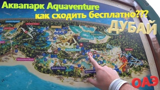 168. ОАЭ. Весна 2023. Падение с 9-этажного дома или наш день в аквапарке Aquaventure Atlantis. Дубай