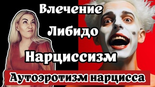 Влечение, либидо и нарциссизм - почему нарцисс хочет сам себя