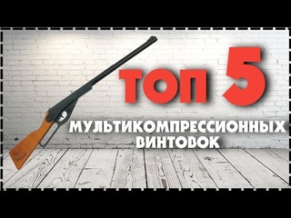 Топ 5 Мультикомпрессионных Пневматических Винтовок