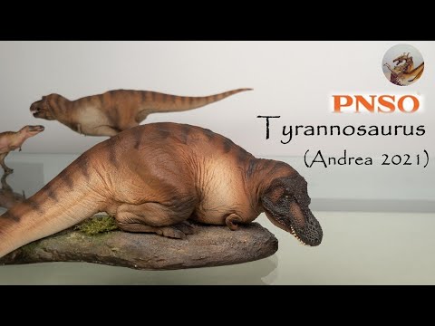 143: PNSO Tyrannosaurus ( Andrea 2021)