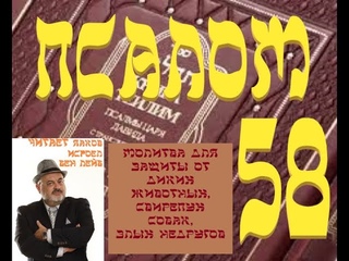 Псалом 58. Молитва для защиты от злых недругов, диких животных, свирепых собак. Чит. Евг. Ногинский.