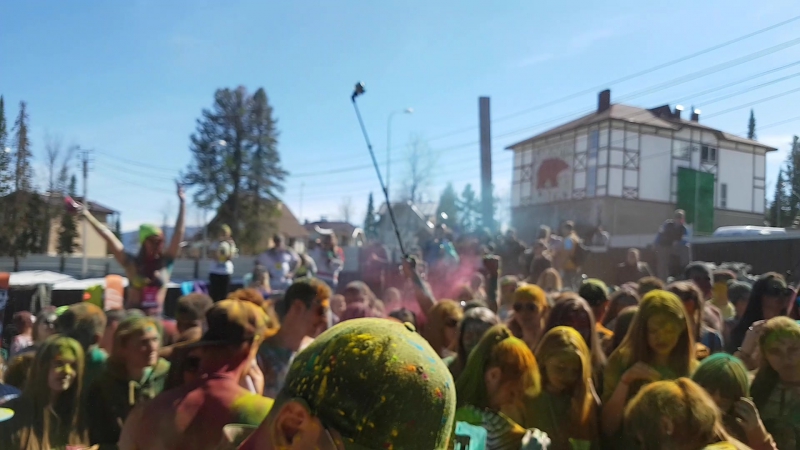 Grelka Fest Paint