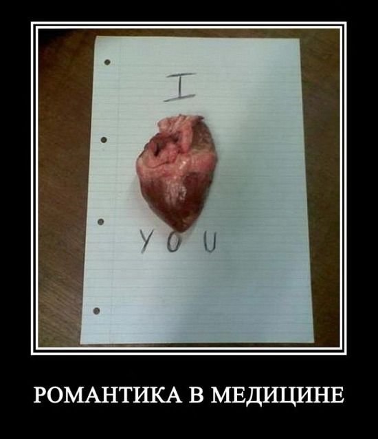 Андрей Дмитриев | Красноярск