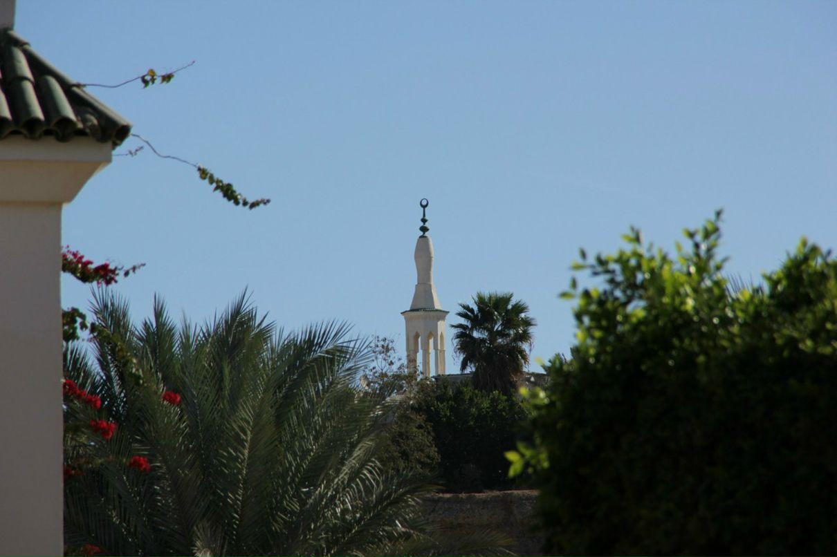 Владимир Пехоца | Краснодар