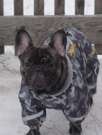 Юлия Соболева | Киров