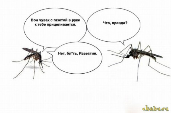 №12, Таня Крупенникова, Томск №12, Таня Крупенникова, Томск