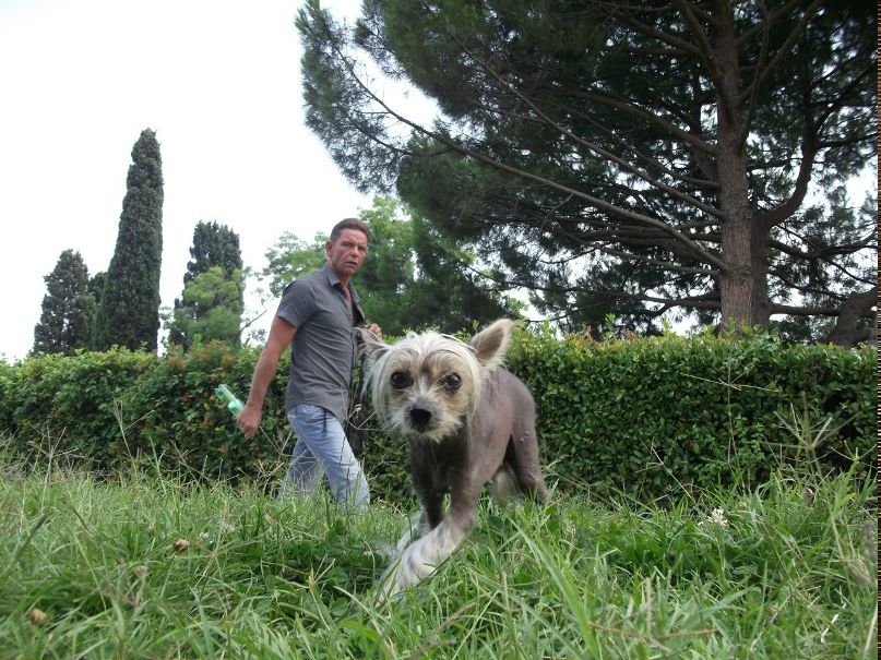 Алёнка Ковальчук | 