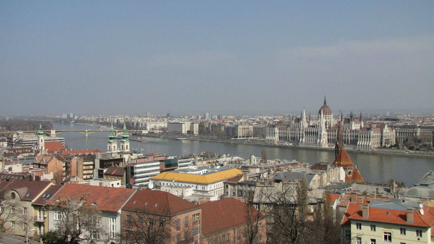 Дмитрий Новоселов | Санкт-Петербург