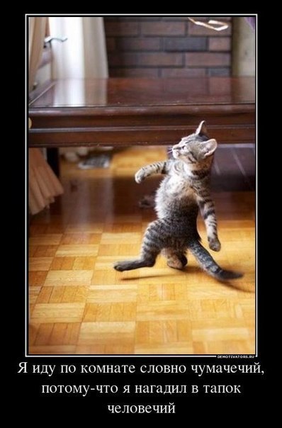 Владислав Толкушкин | Казань