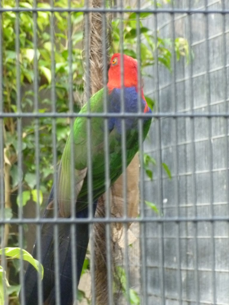 Лариса Федорова | New York City