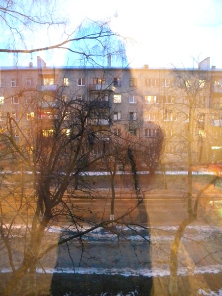 №81, Зоряна Литвиненко, Подорожное (Стрыйская община) №81, Зоряна Литвиненко, Подорожное (Стрыйская община)