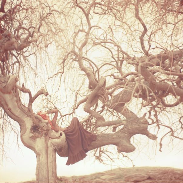 №36, Марина Борецких, Москва №36, Марина Борецких, Москва