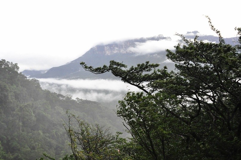 Сергей Морозов | 