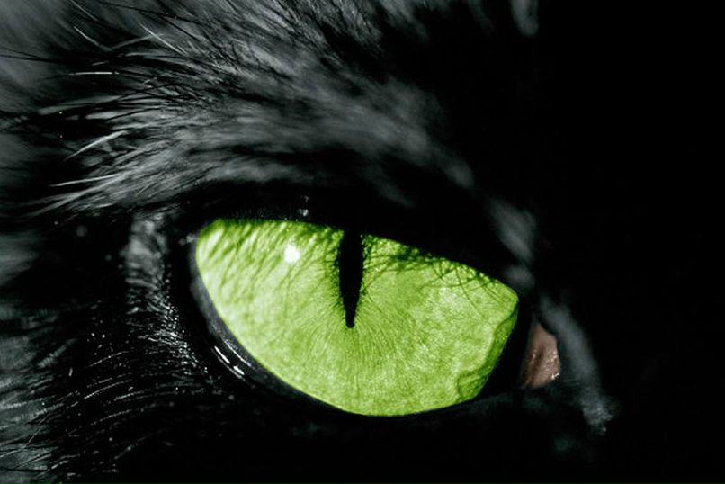 Дмитрий Кайгородцев | Новосибирск