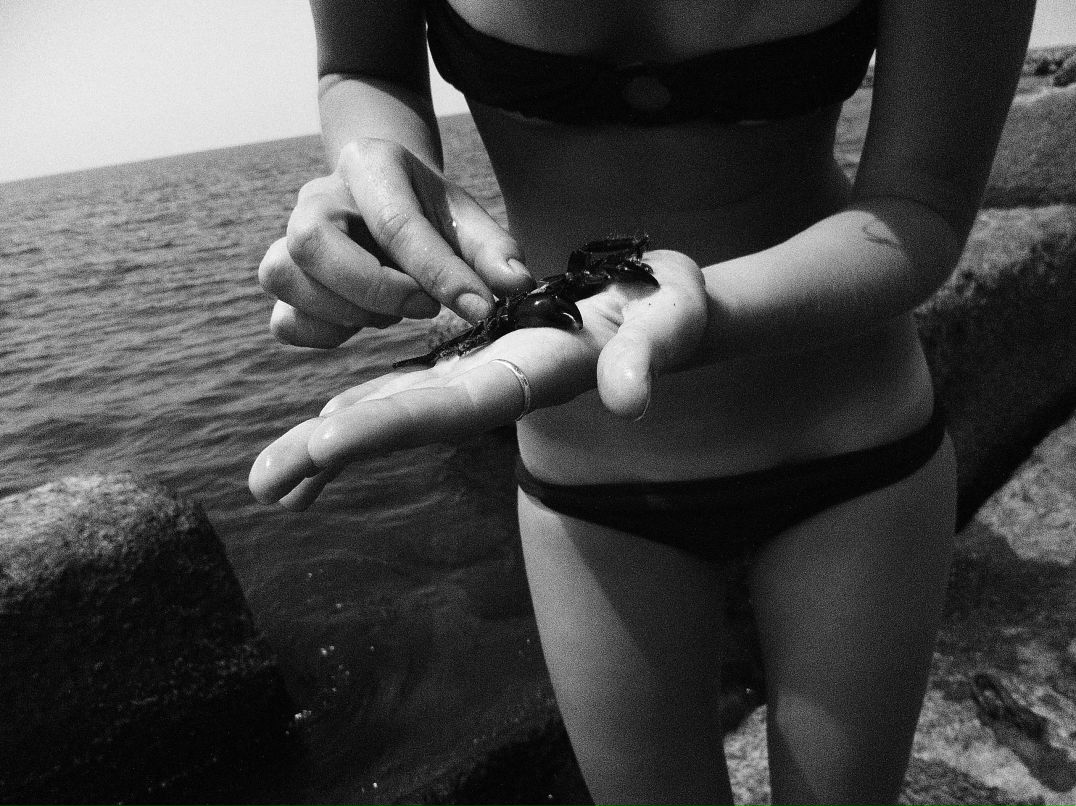 Данис Тутманов Ѽ+Ѽ=ѼѼ | Москва