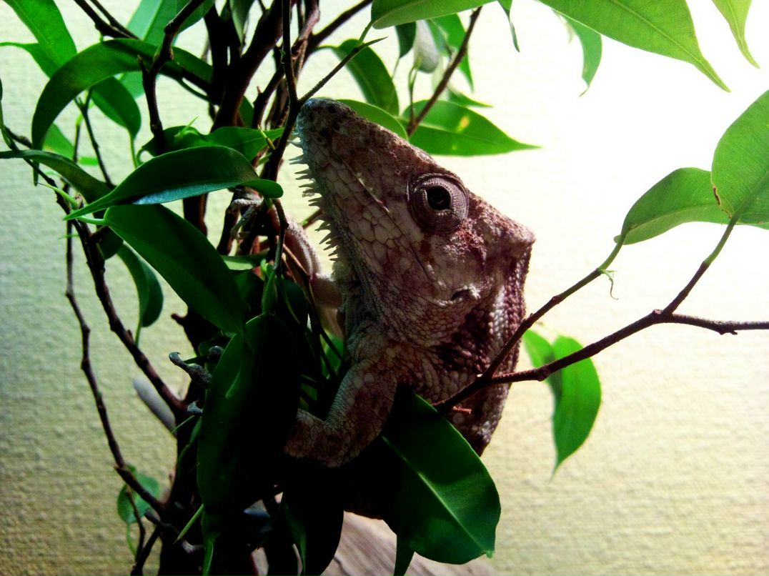 Татьяна Суперсексихэпписуфель | Москва