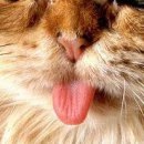 №113, Мария Косенко, Кривой Рог №113, Мария Косенко, Кривой Рог