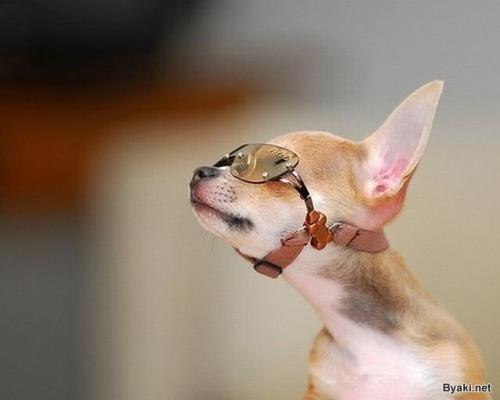 Петро Крупка фото профиля #46