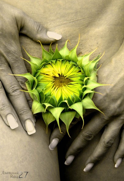 №34, Наталя Степанюк, Луцк №34, Наталя Степанюк, Луцк