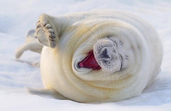 №126, Виталий Большаков, 41 год, Миасс №126, Виталий Большаков, 41 год, Миасс