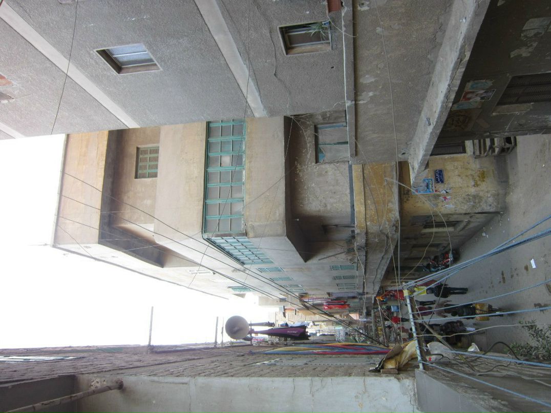 Юлия Гамаль | Taba