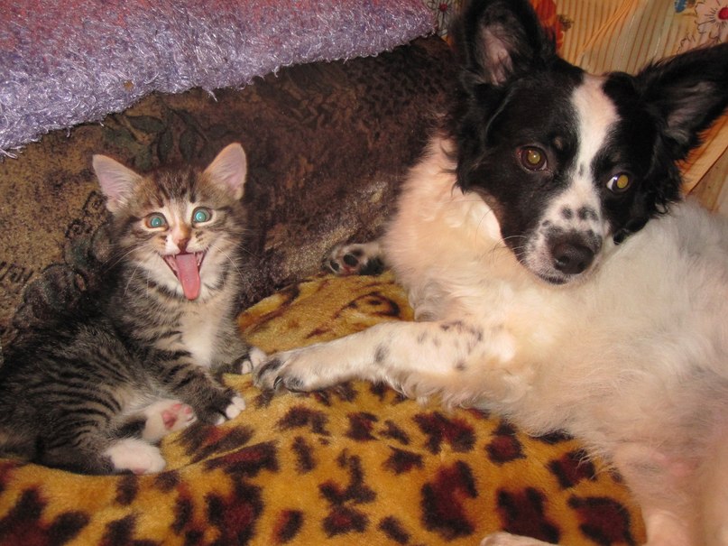 Ольга Гладкова | Муезерский