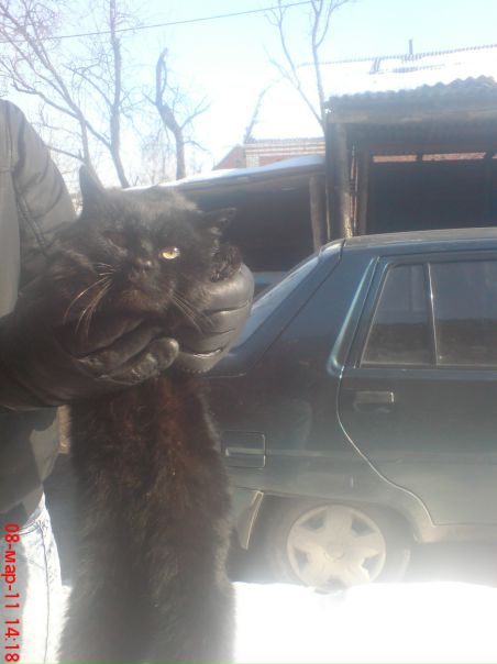 №67, Dimon Derevyanchuk, 32 года, Переяслав-Хмельницкий №67, Dimon Derevyanchuk, 32 года, Переяслав-Хмельницкий