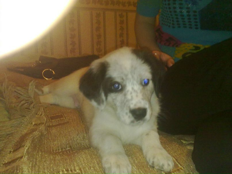 Стас Сурин | Донской