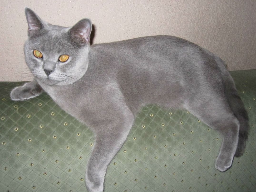 Ирина Цымбал | 