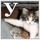 №37 Дарья Имбирь