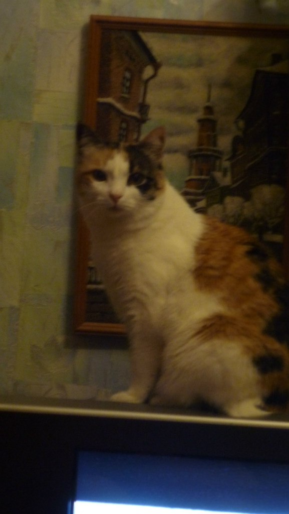 Марина Темкина | Санкт-Петербург