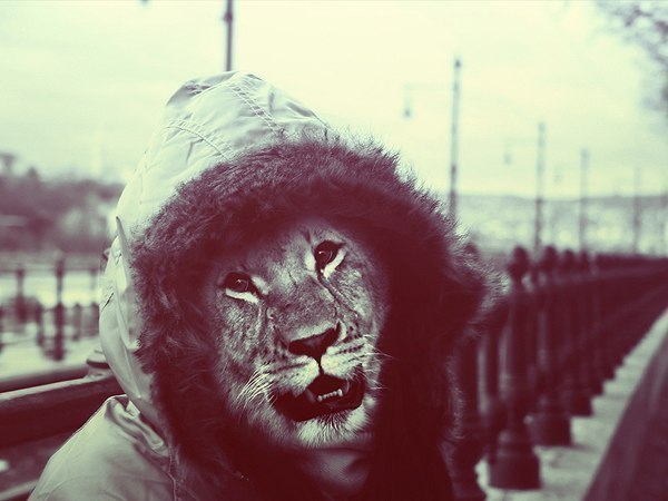 Федор Путренко | Новосибирск